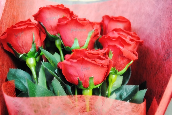 プロポーズを手助けしてくれる薔薇の花束 ダーズンローズ ニコリギフト